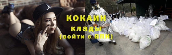 дживик Переславль-Залесский