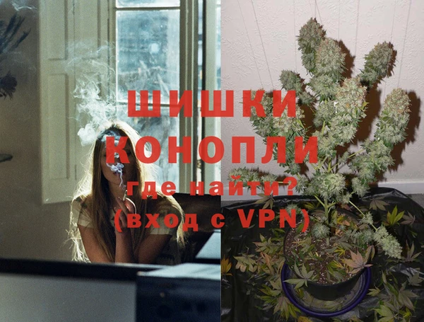 дживик Переславль-Залесский