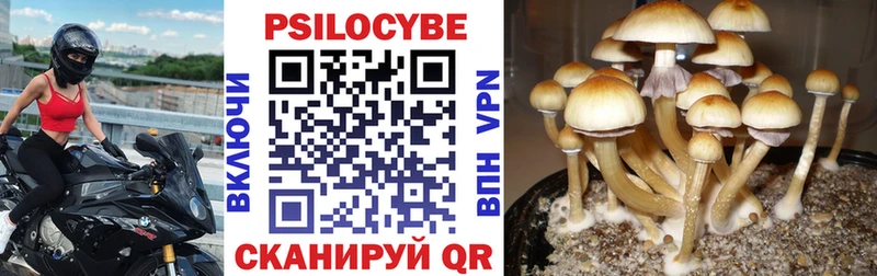Псилоцибиновые грибы GOLDEN TEACHER  наркошоп  Починок 